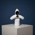 Hooded Guardian - Arpiece - Home Decor